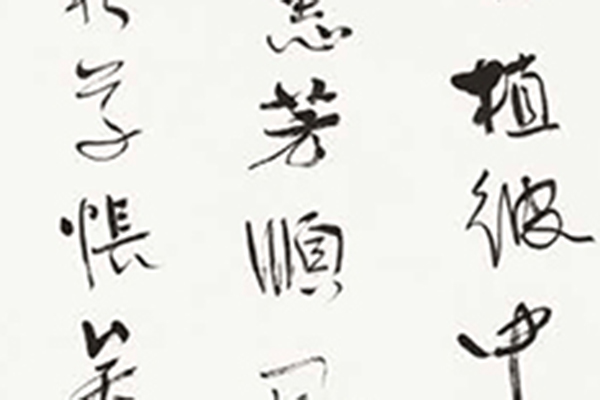 中国老年书法家作品展-154 副本.jpg