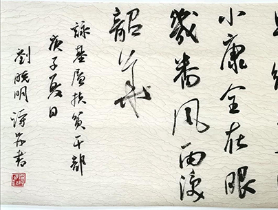 刘晓明作品.jpg