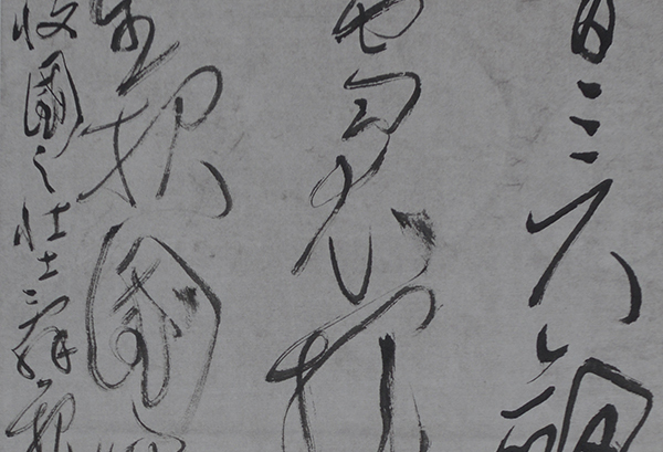 嵇小军.jpg