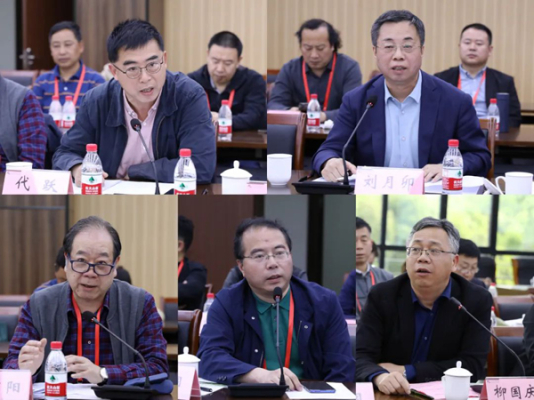 代跃、刘月卯、丁申阳、漆钢等发言