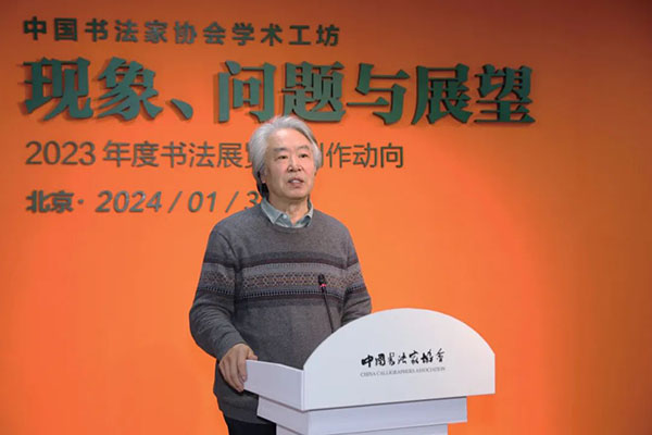 丛文俊对本次会议讨论的问题进行综合评议